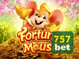 757 WIN login — configurações de segurança e proteção de conta